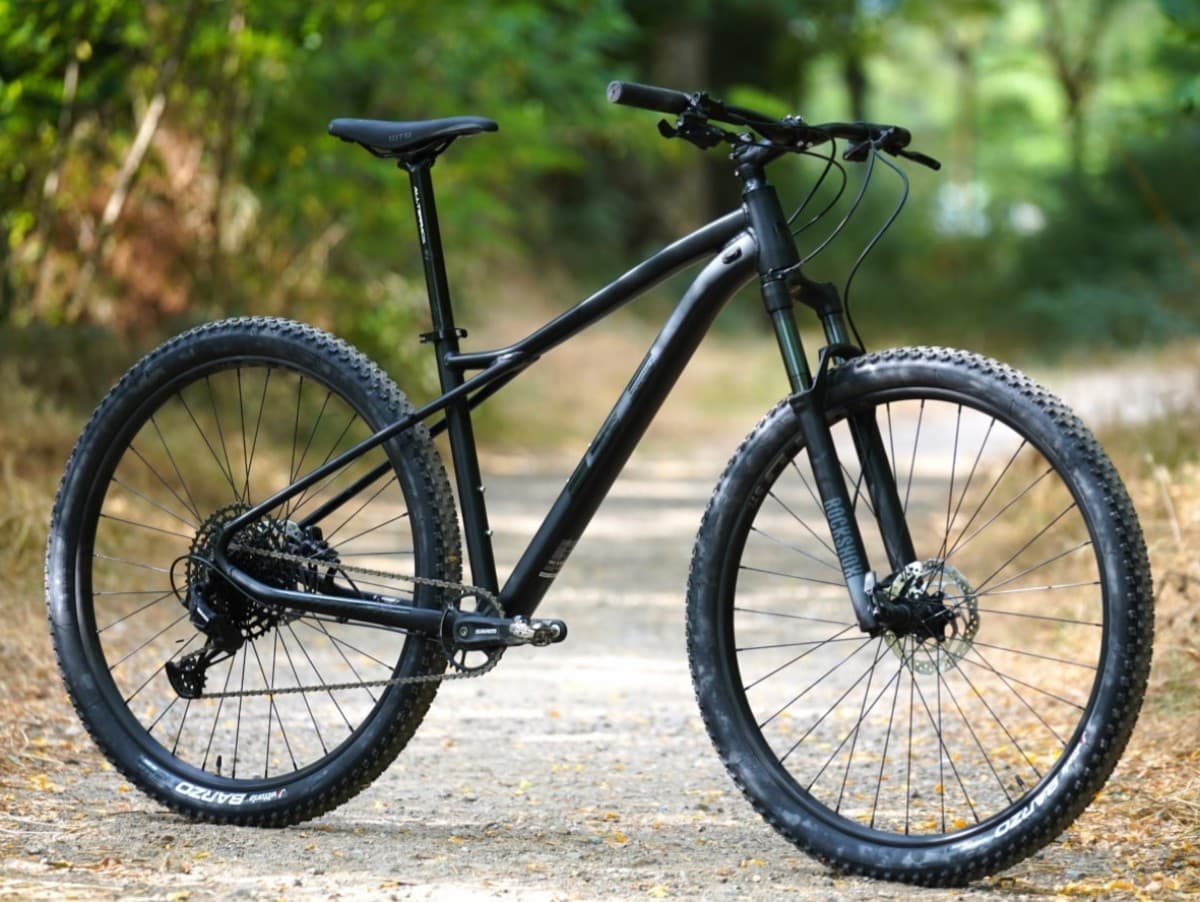 Paseo En Bicicleta